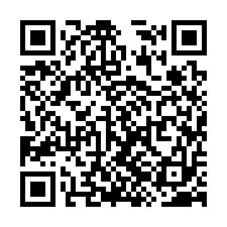 QR code for WZI313