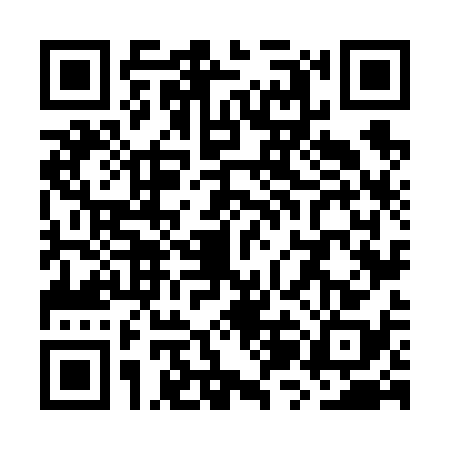 QR code for WZN6386