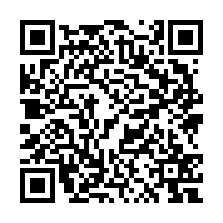 QR code for WZY6373