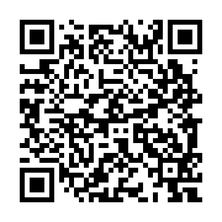 QR code for XBL393