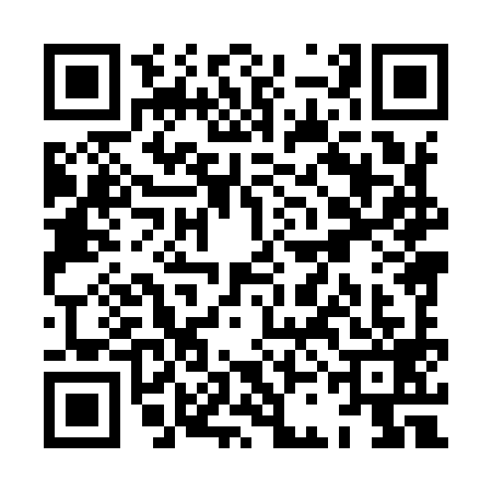 QR code for XCH9993