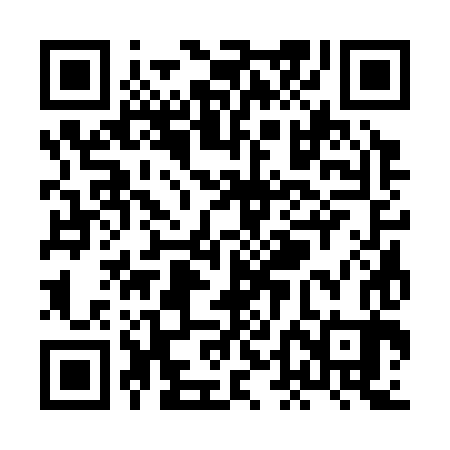 QR code for XDC383
