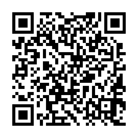 QR code for XDE250