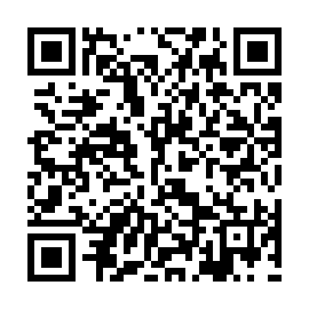 QR code for XDI295