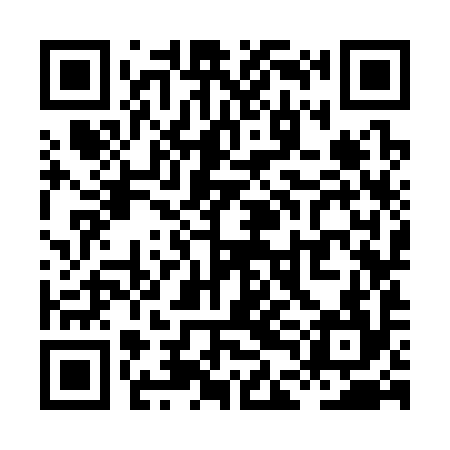 QR code for XDK394
