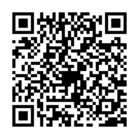 QR code for XDL2995