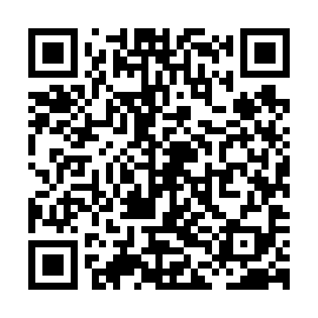 QR code for XDM699