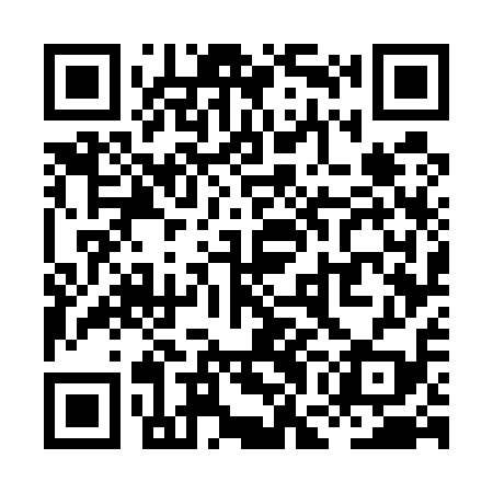 QR code for XGG519