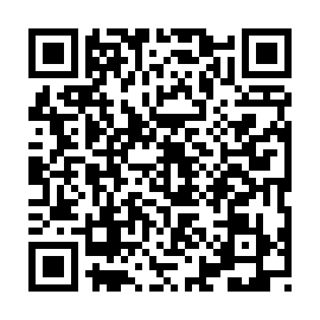 QR code for XII4390