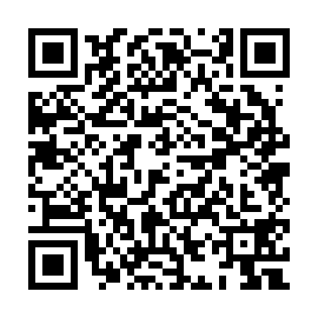 QR code for XIP2183