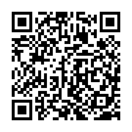 QR code for XIX098