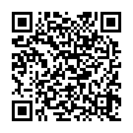 QR code for XJT338