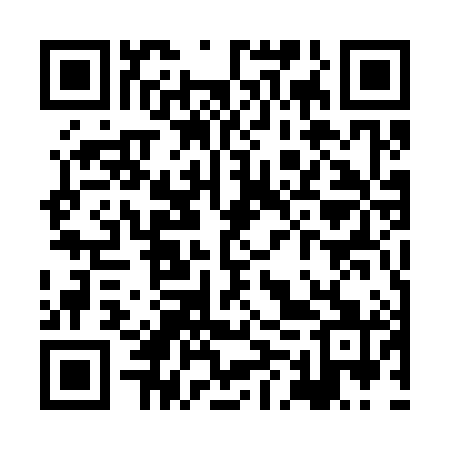 QR code for XMU381