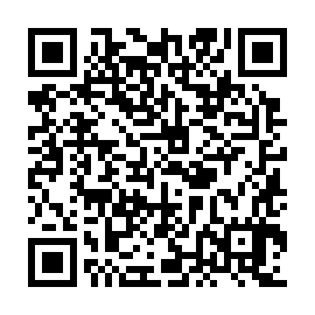 QR code for XNK387