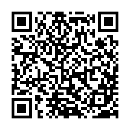 QR code for XQR382