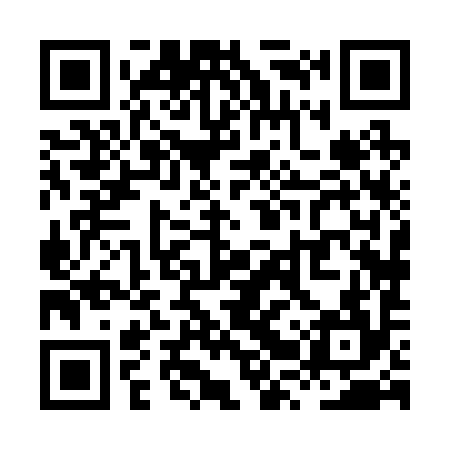 QR code for XRX294