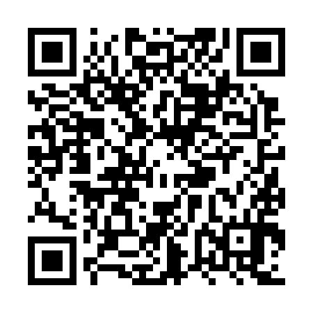 QR code for XVF394