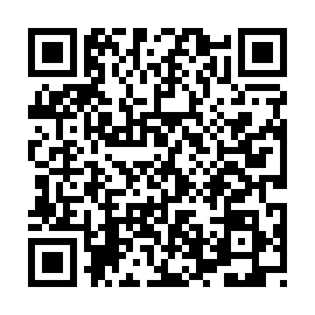 QR code for XVL1981