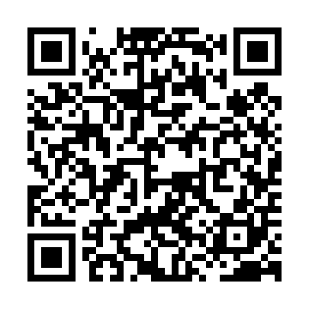 QR code for XVS400