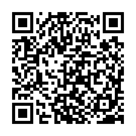 QR code for XYZ795