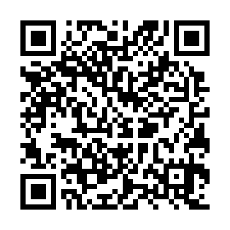 QR code for XZG335