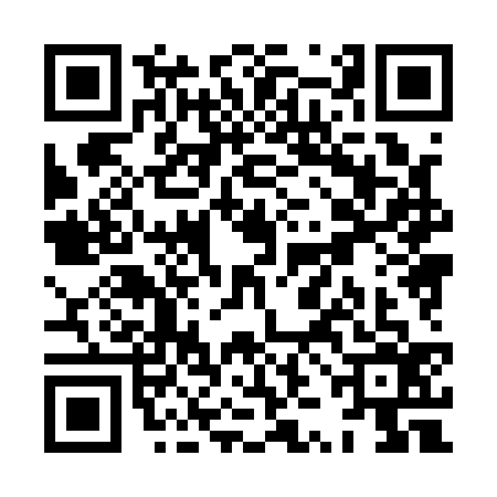 QR code for XZH1363