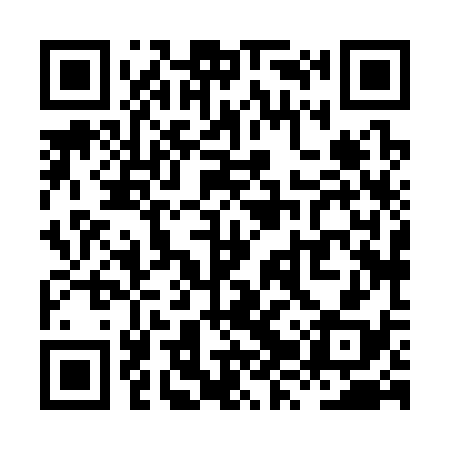 QR code for XZX338