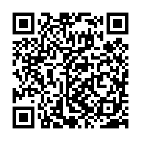 QR code for XZZ491