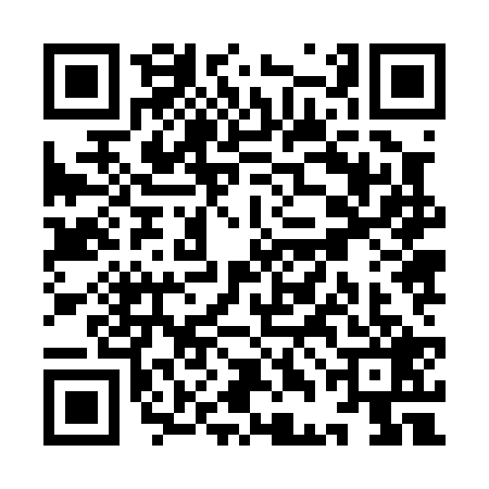 QR code for YDJ0294