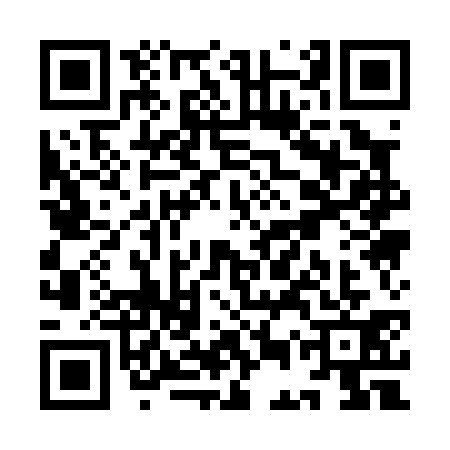 QR code for YEQ0313