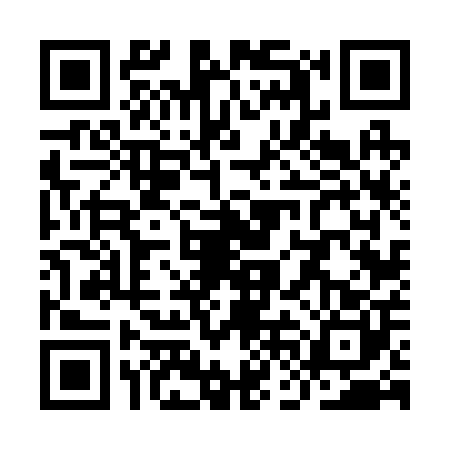 QR code for YFF2008