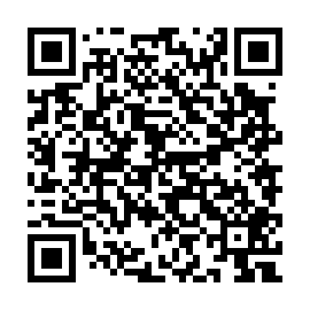 QR code for YIN009