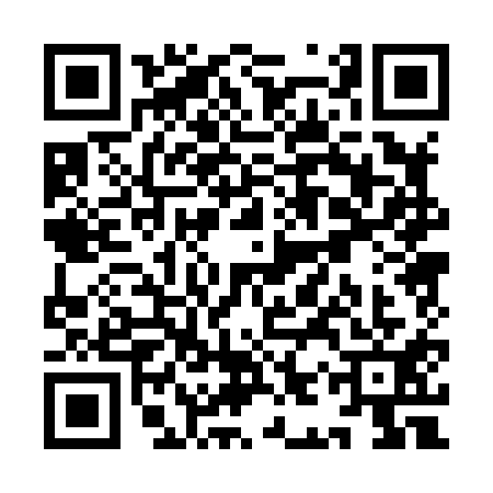 QR code for YIP8113