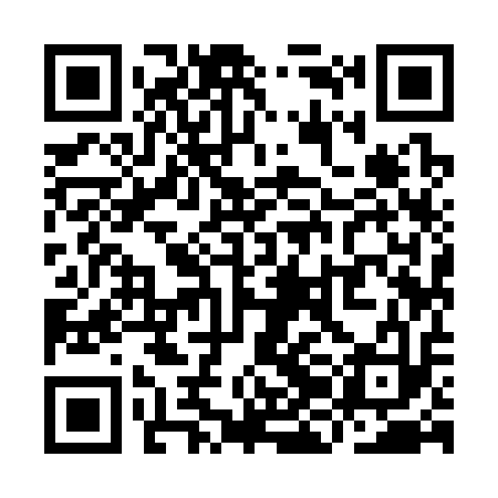QR code for YJI313