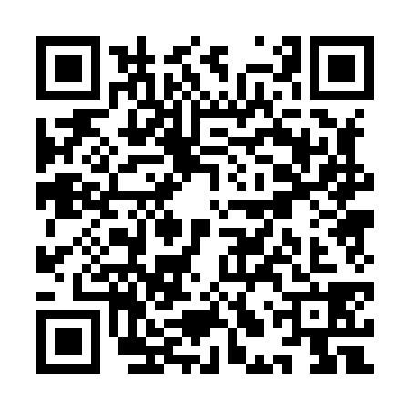 QR code for YLP8384