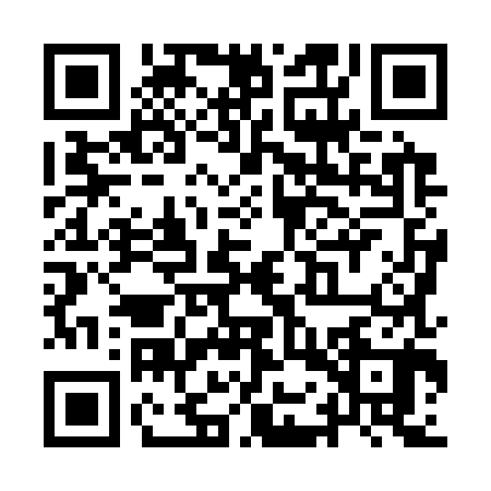 QR code for YOX3809