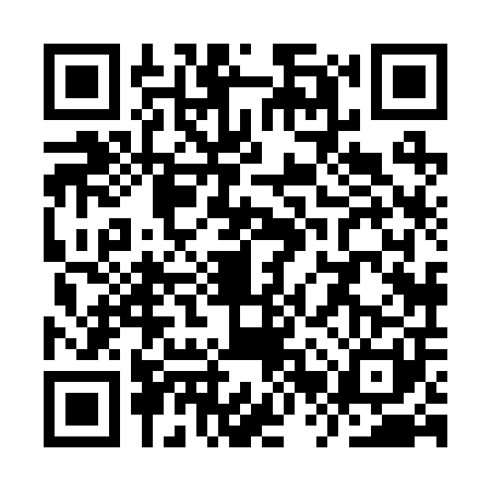 QR code for YRX2010