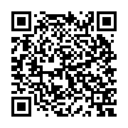 QR code for YSE273