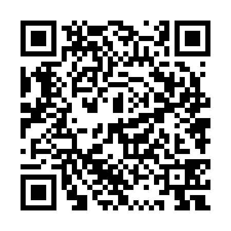 QR code for YSN2384