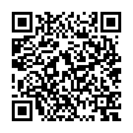 QR code for YWZ6335