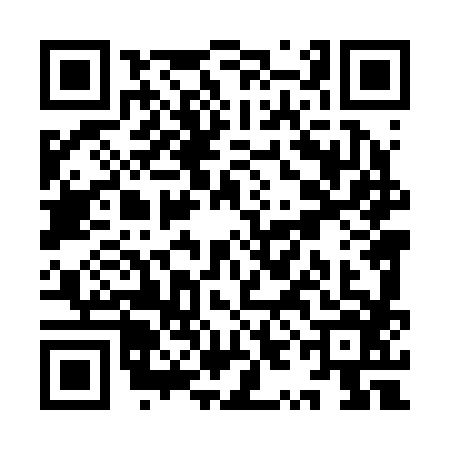 QR code for YYL2865