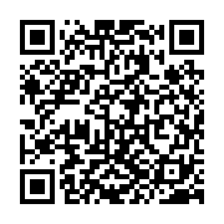 QR code for YZI271