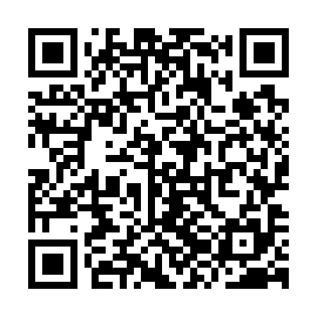 QR code for YZO795
