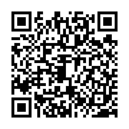 QR code for YZS6534