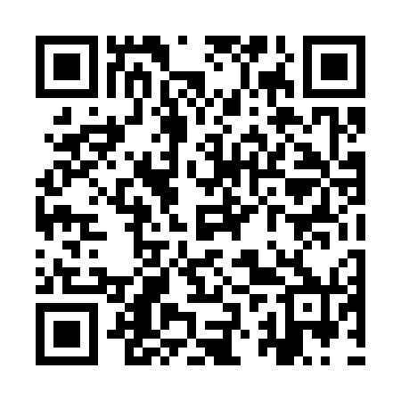 QR code for YZT370