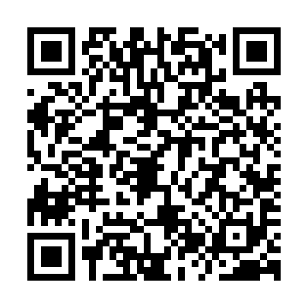 QR code for YZV2918