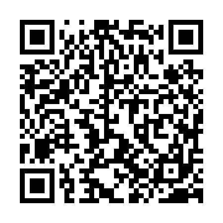QR code for YZZ217