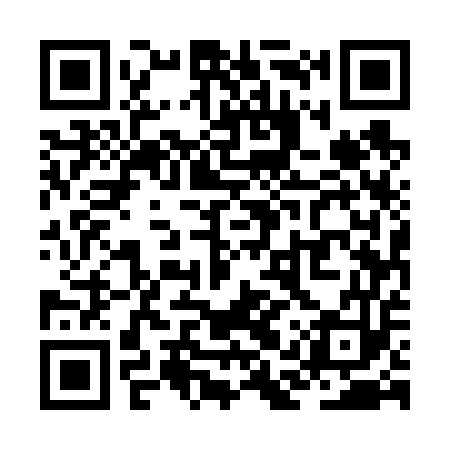 QR code for ZAU653