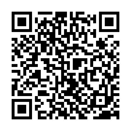QR code for ZCG993