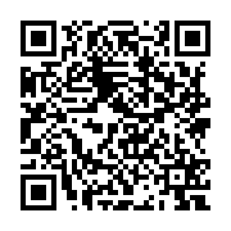 QR code for ZCI9253
